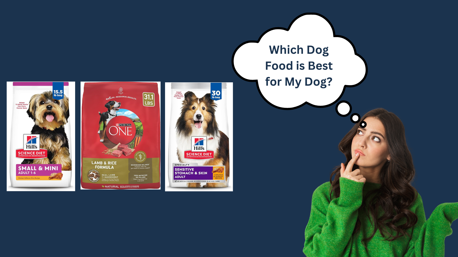 Which Dog Food is Best for My Dog